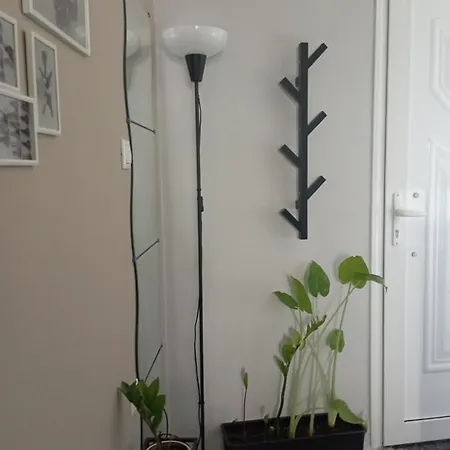 Mary's In Paradissi Apartmán