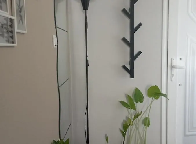 Mary's In Paradissi アパート